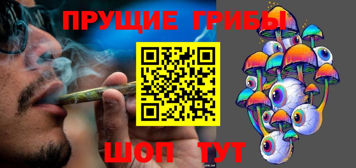 Псилоцибиновые грибы Cubensis Брянск